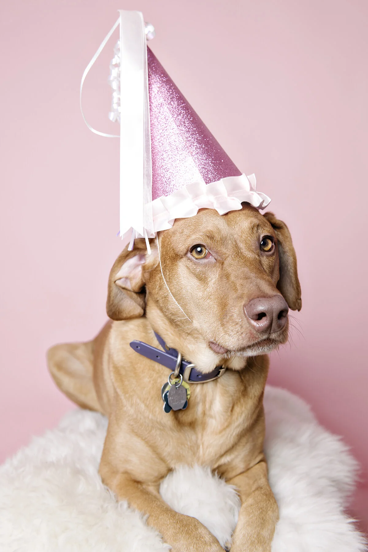 birthday girl turns five!