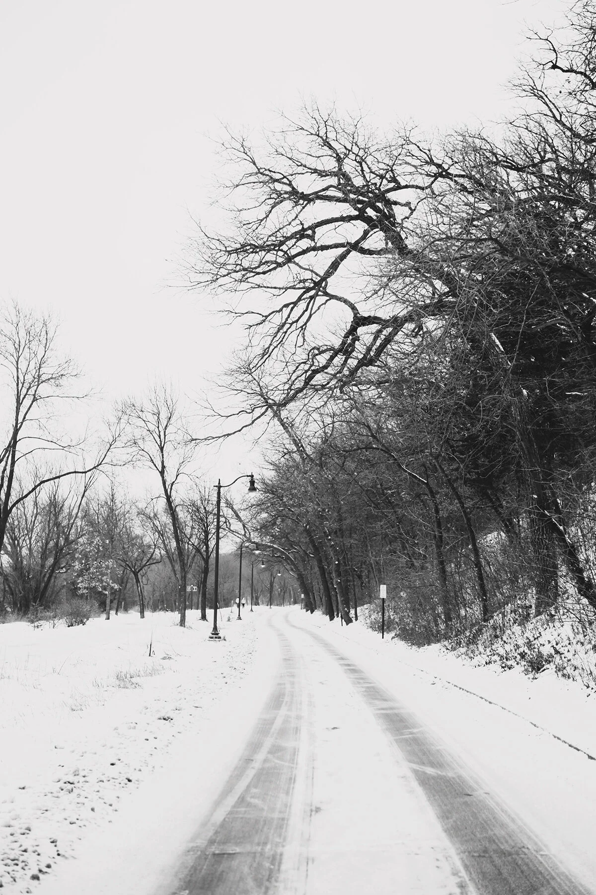 winter is here to stay