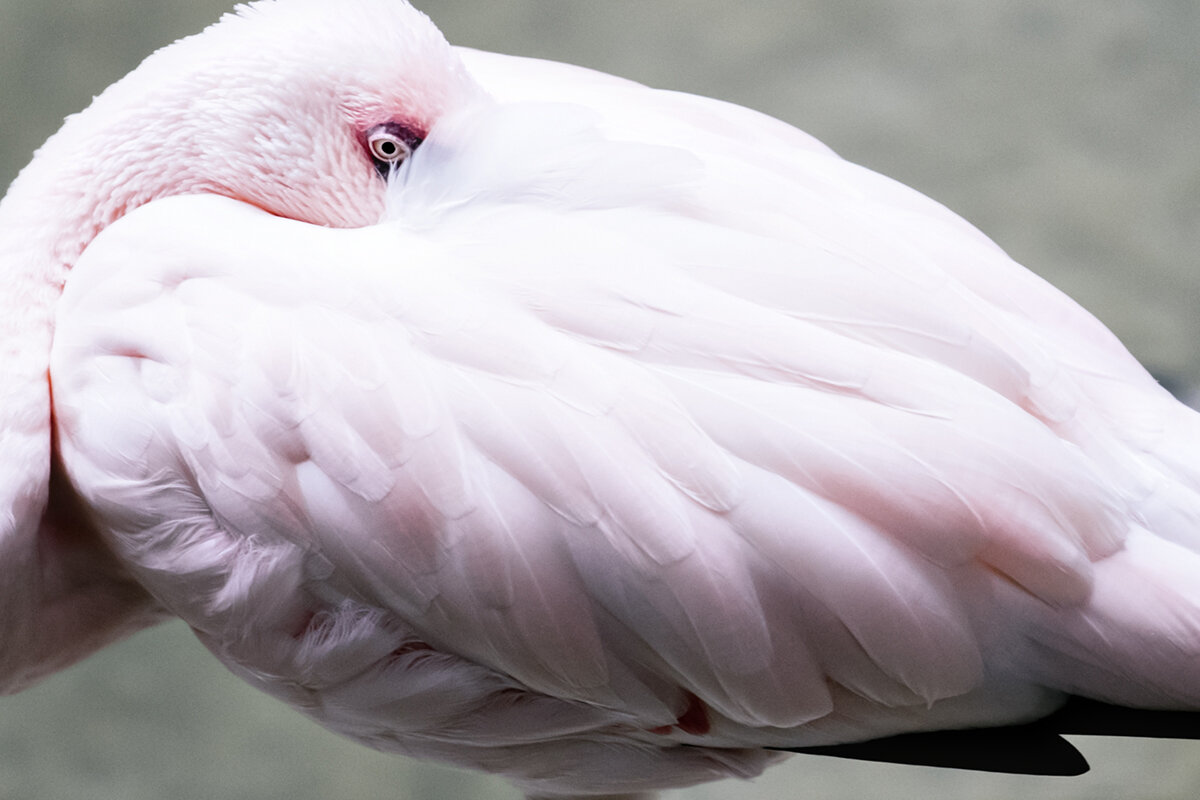 today at the zoo