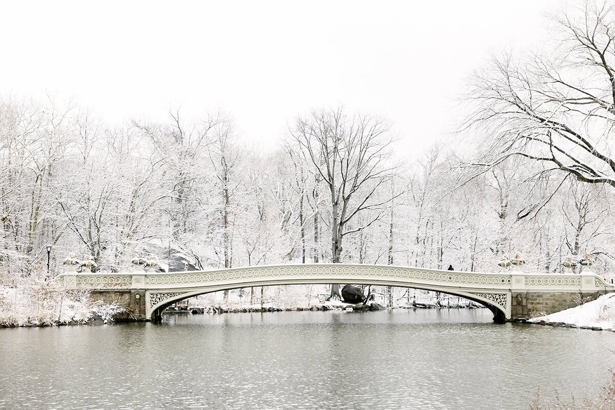 morning in central park