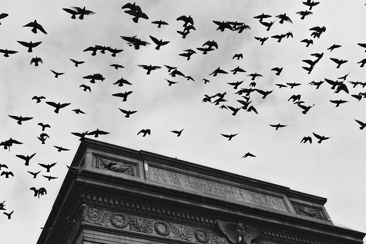 Washington Square