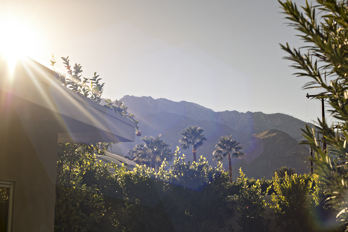 palm springs