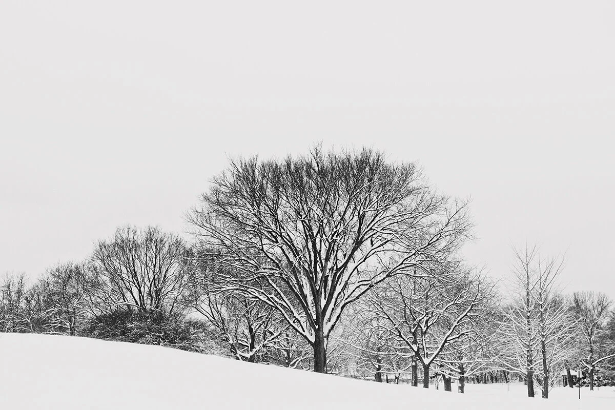 feeling minnesota