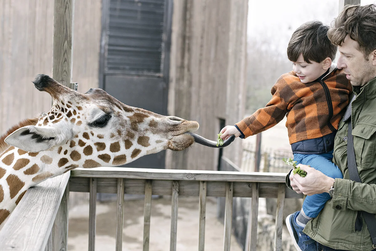 the sedgwick county zoo
