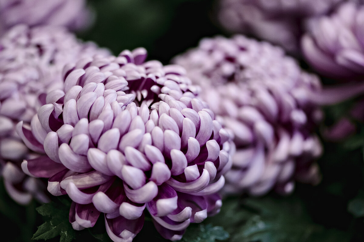 finding spring