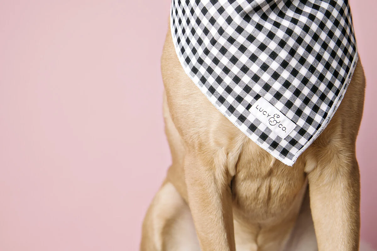 miss magda the model