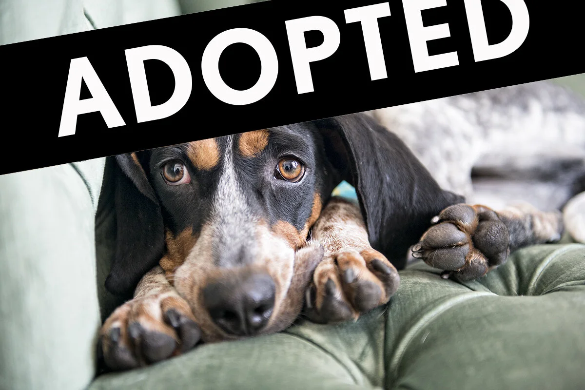 Welcome to my pet project. ha.