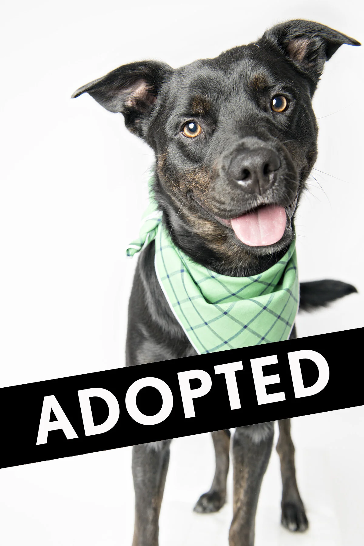 gabriel will melt your heart