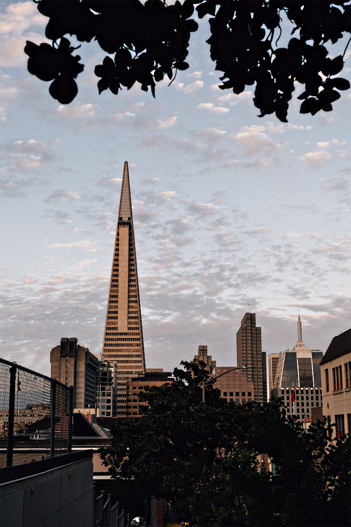 san francisco