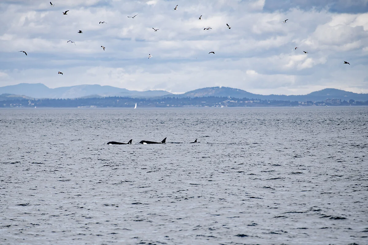 it's pretty amazing here, eh?