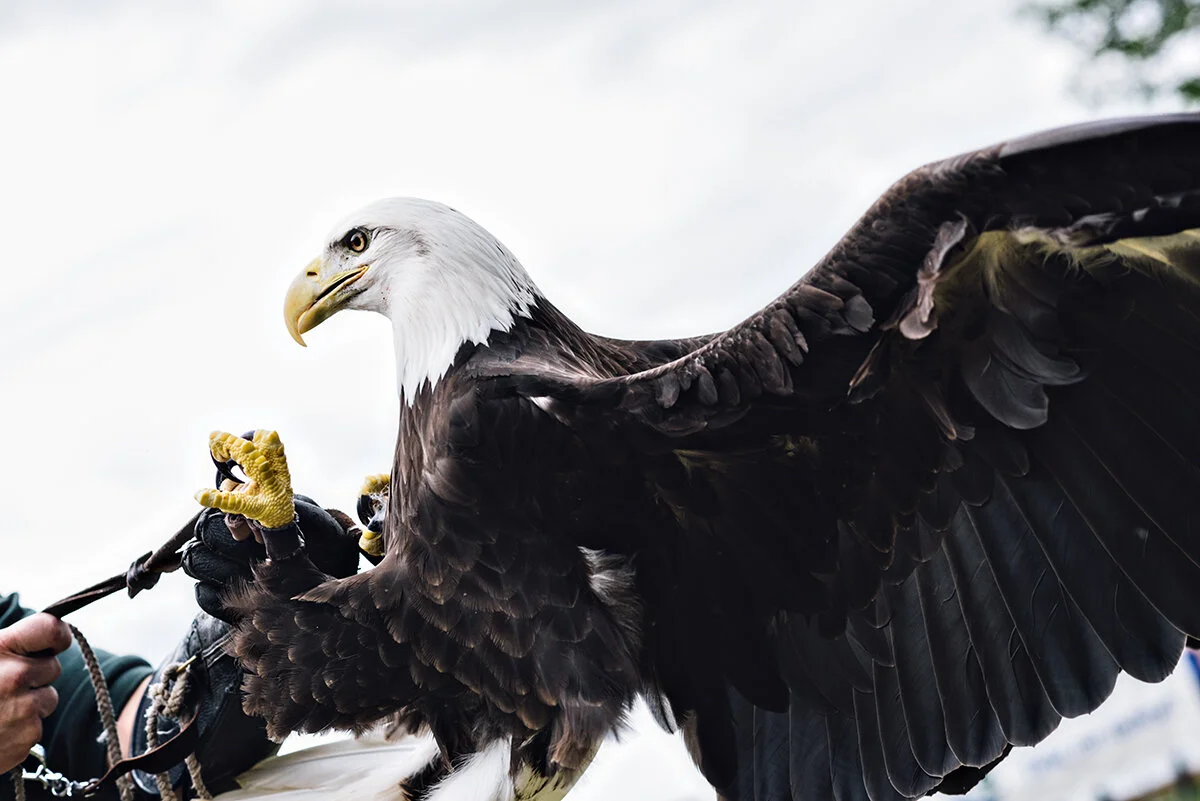 too terrified to blog