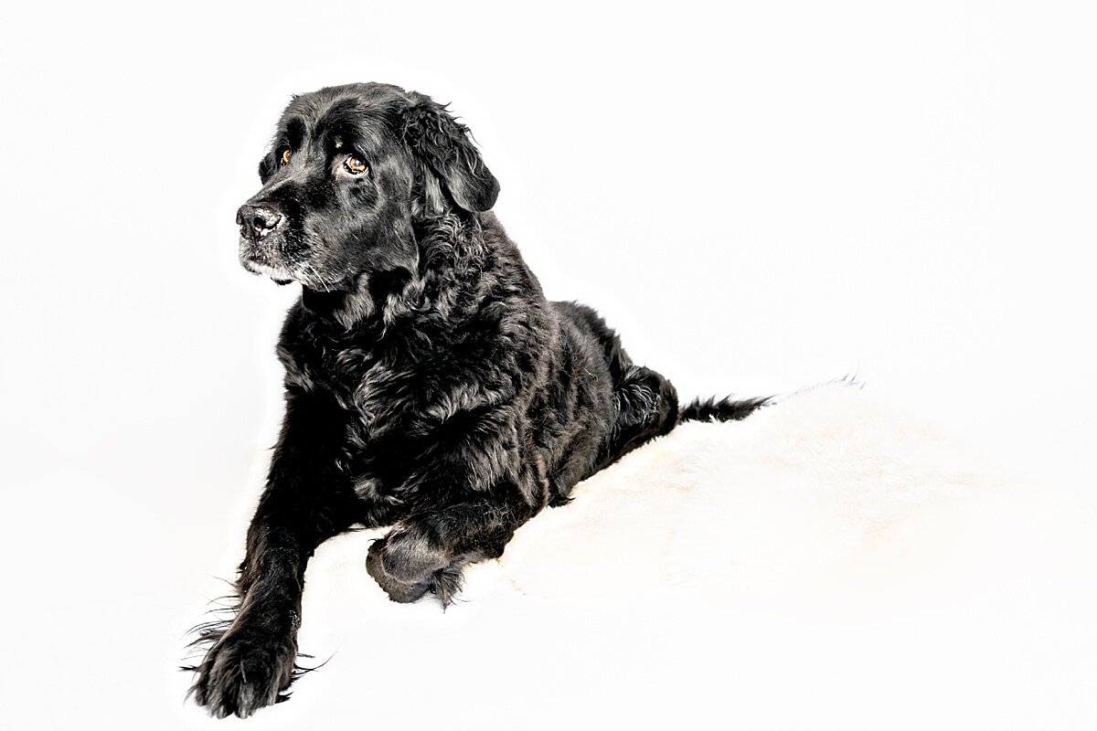 let the games begin!