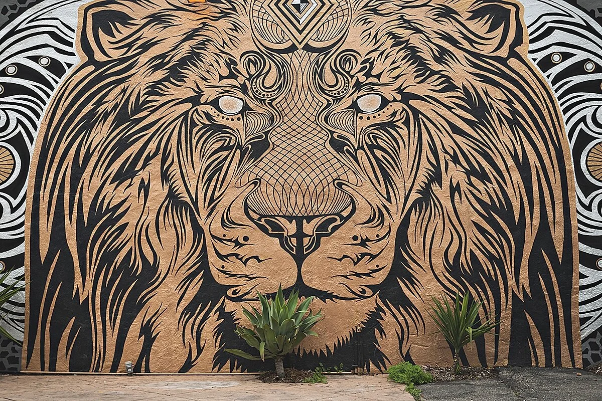 scenes from around town