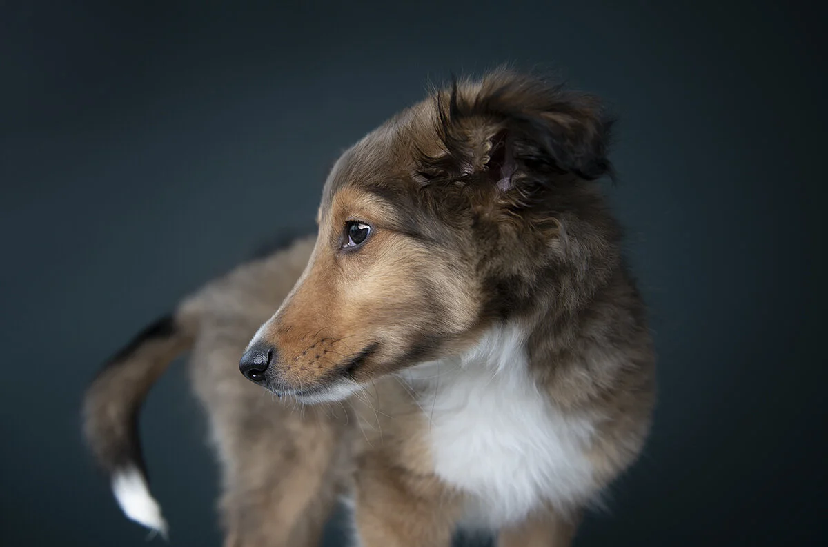 a different, softer kind of baby!