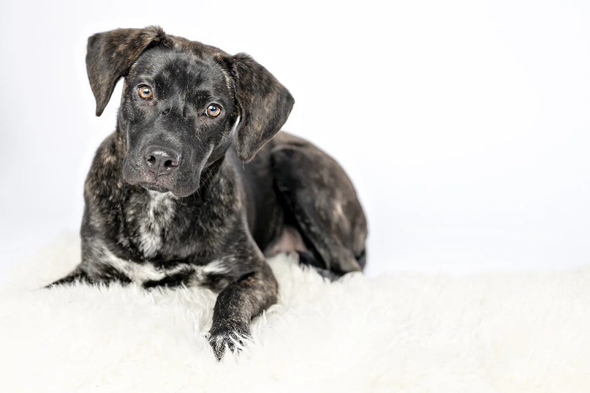 Riley Perry is the sweetest