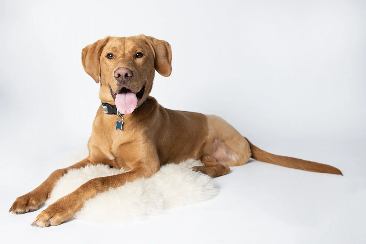 Bring Caden home stat -- ADOPTED!