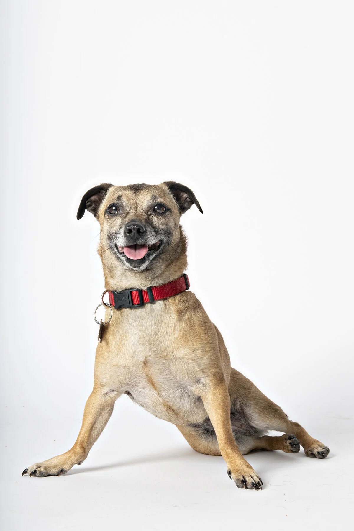 hilarious little emma