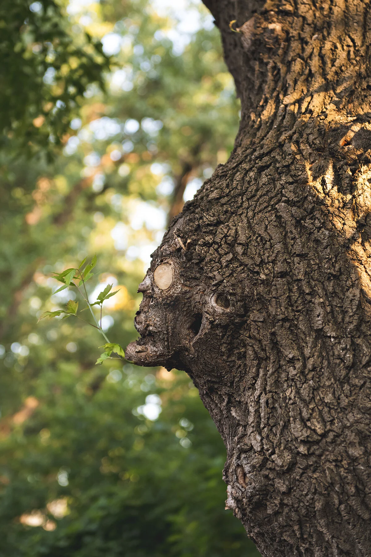 write your own story here