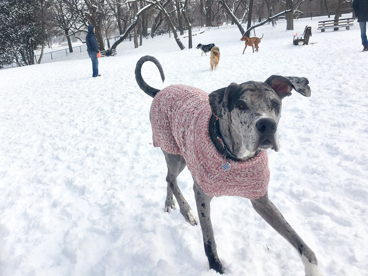 some photos that my kid took!