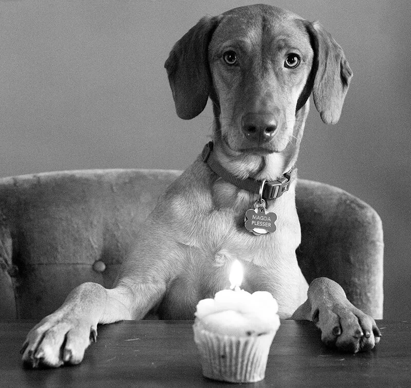 magda's birthday // behind the scenes // a how-to