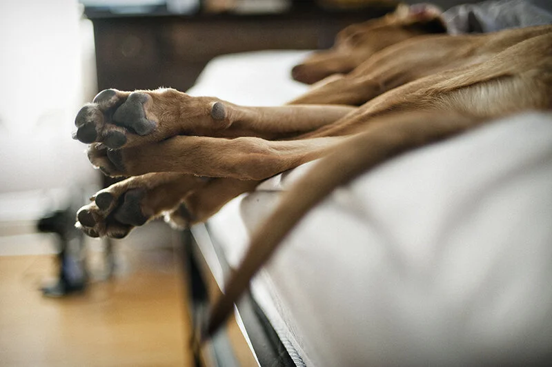 monday with magda // frozen tundra edition