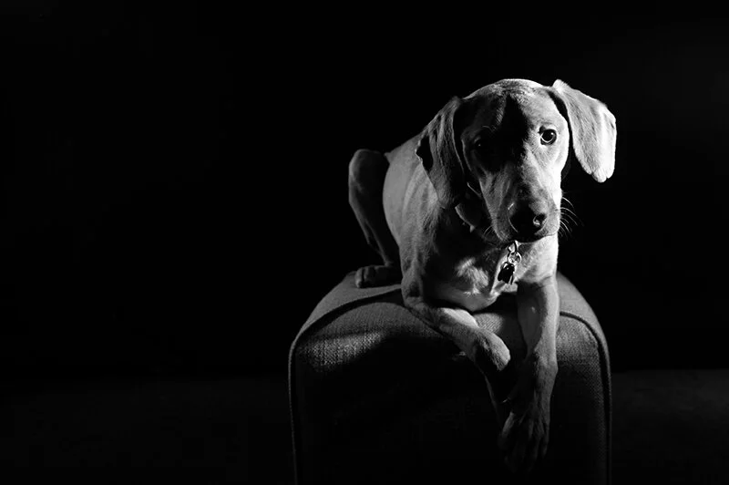 monday with magda // look who's sitting still