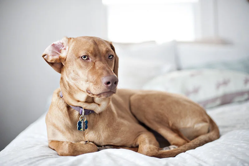 yes. she's judging you.