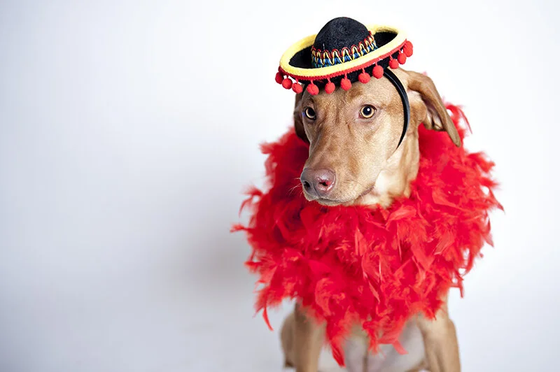 monday with magda // cinco de mayo edition