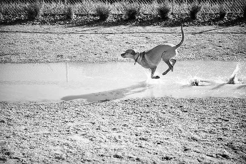 monday with magda // summer is here