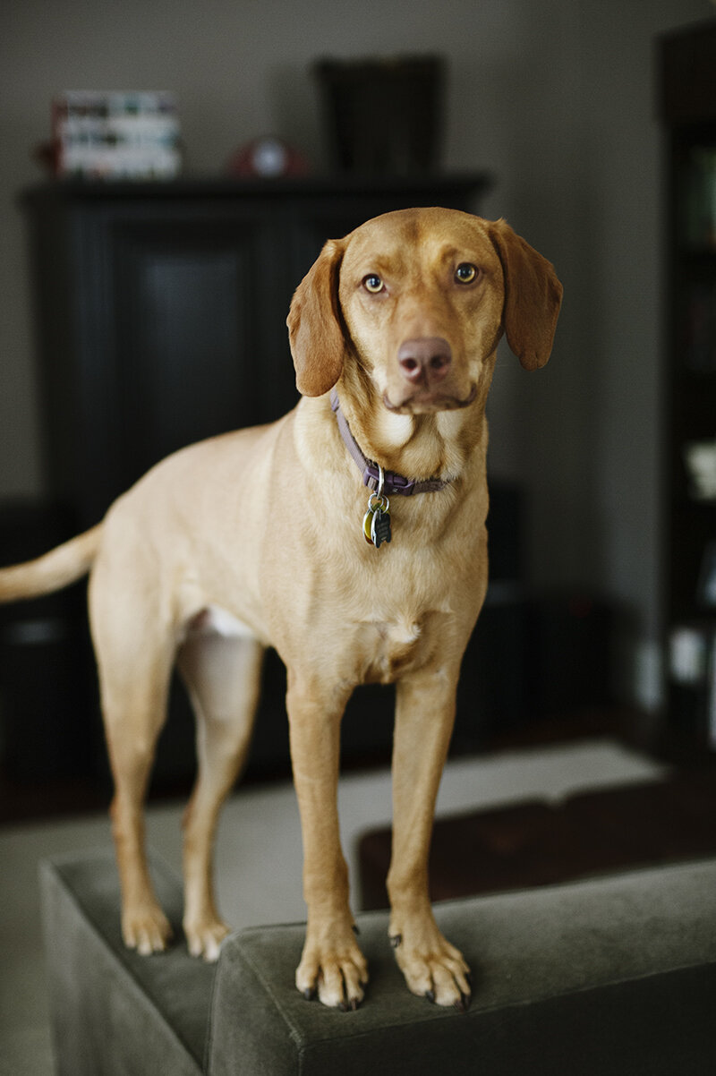 monday with magda // back on guard