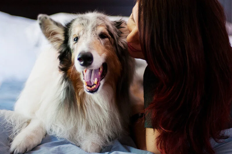 monday with... merlin