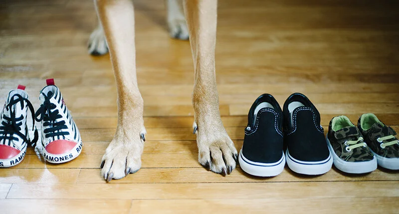 tuesday with magda // new treasures