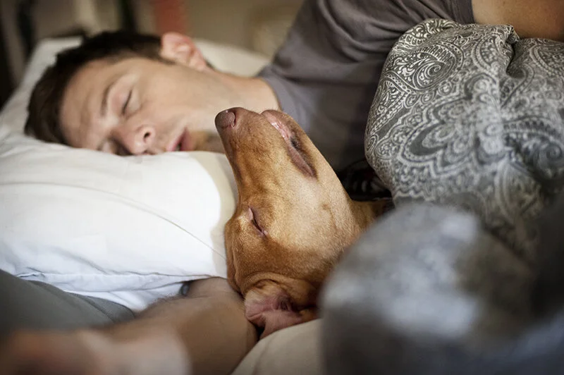 monday with magda // spoilage