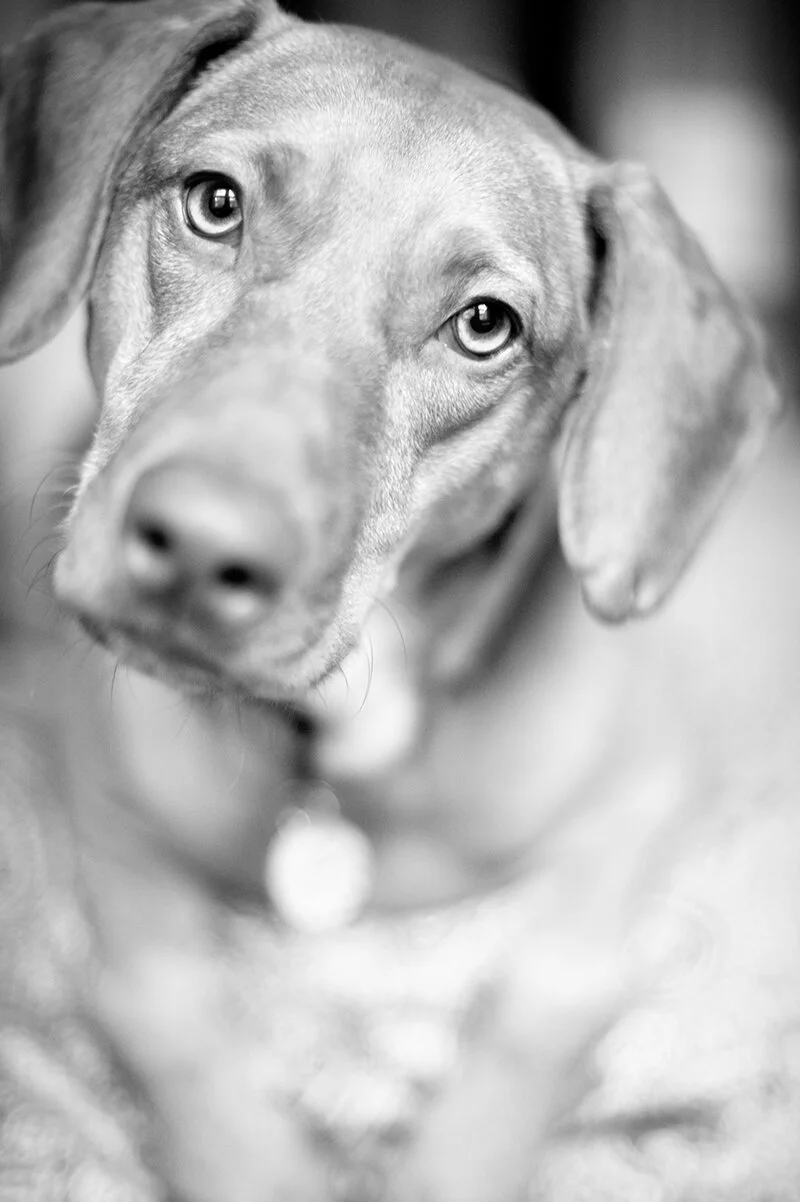 monday with magda // baby girl