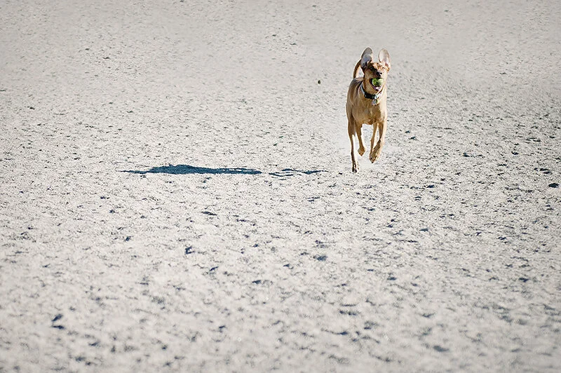 monday with magda // speed racer