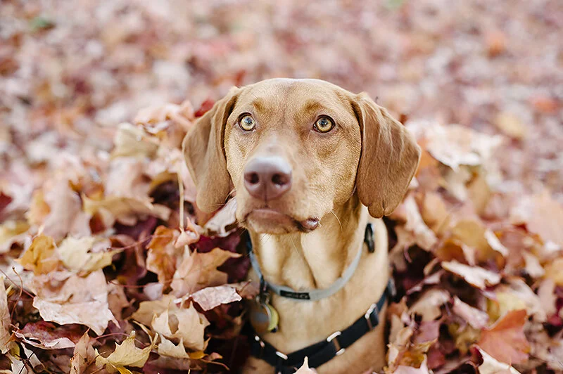 monday with magda // october