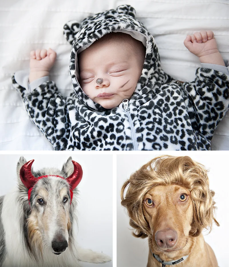 happy halloween! From all our critters!