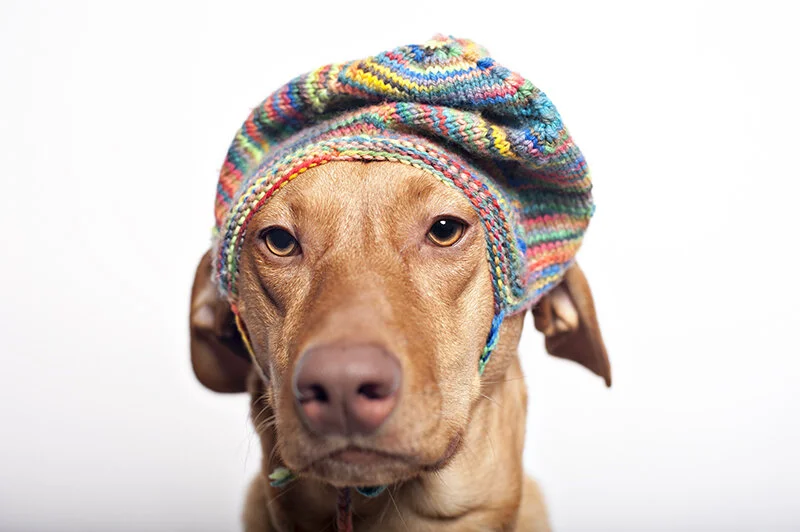 monday with magda // winter hipster edition