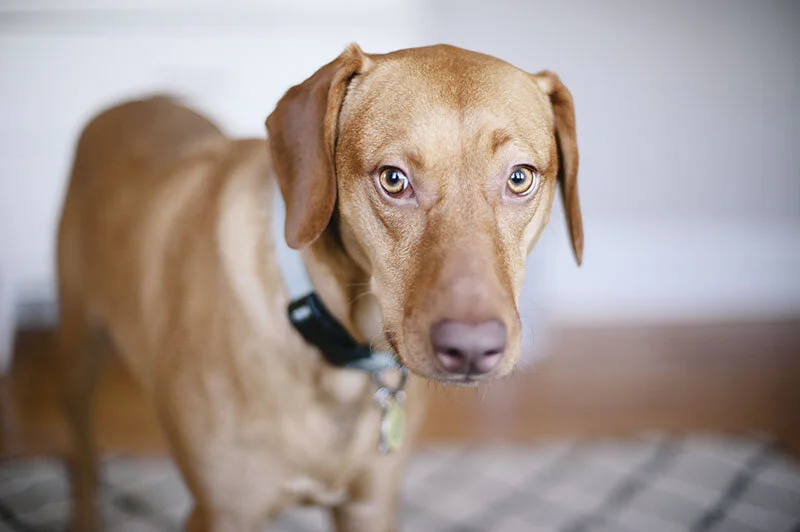 monday with magda // such a good girl