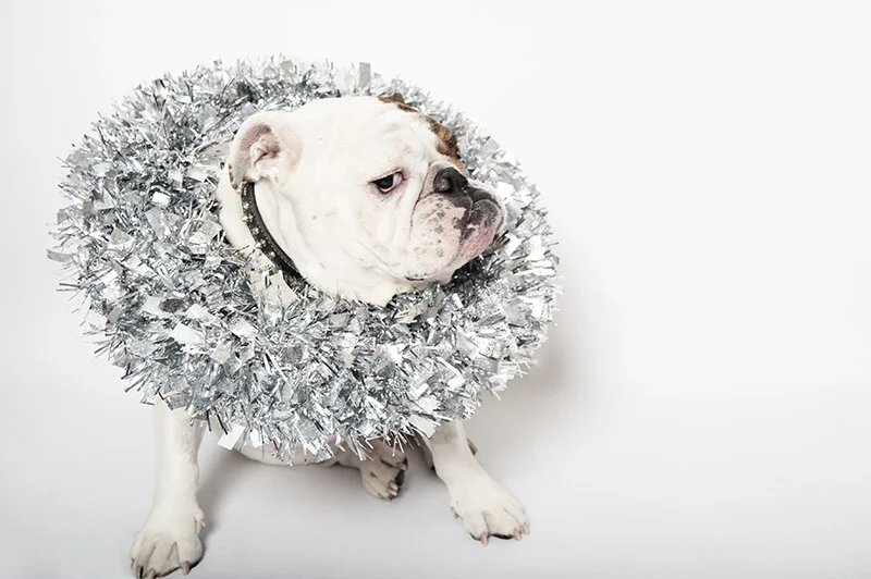 my favorites from 2014