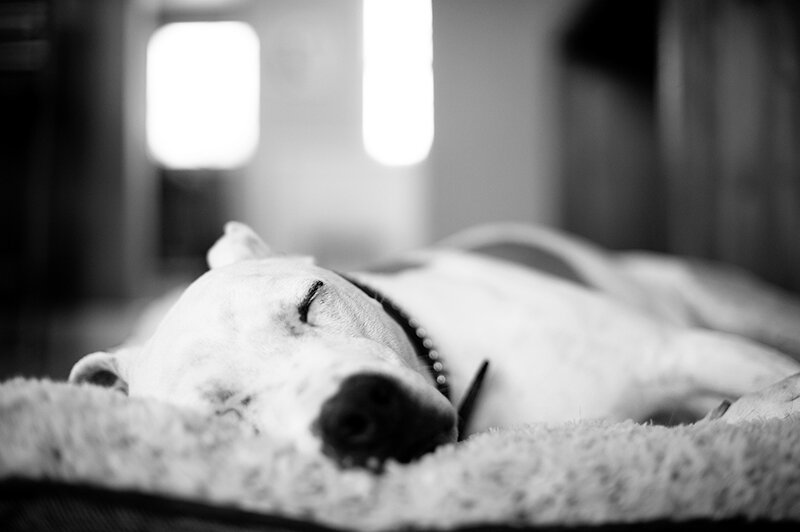 more cooper
