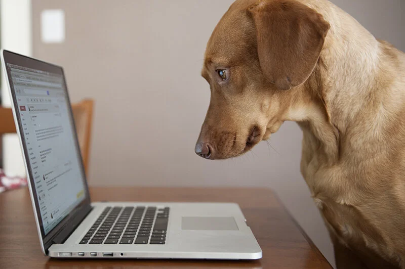 my totally focused coworker