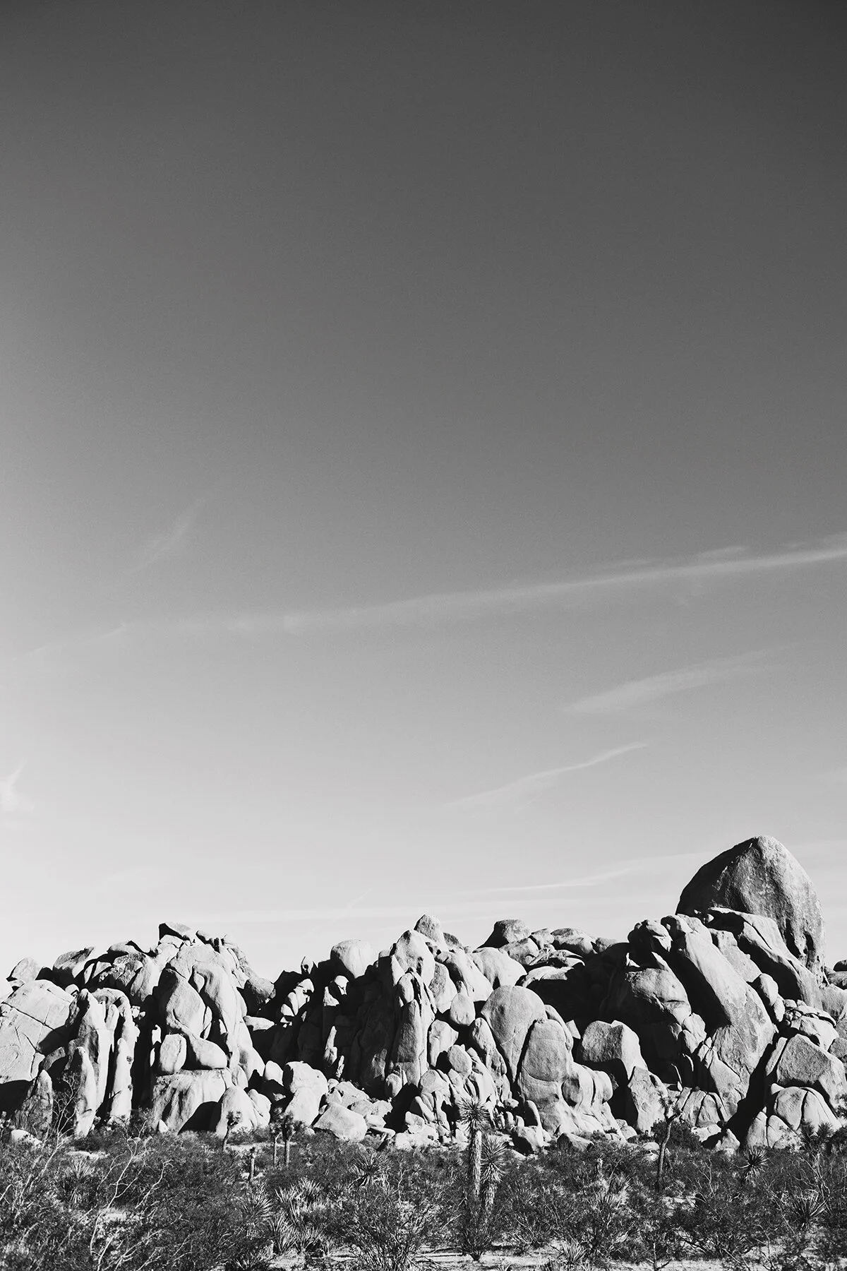 LJP_0352bw.jpg