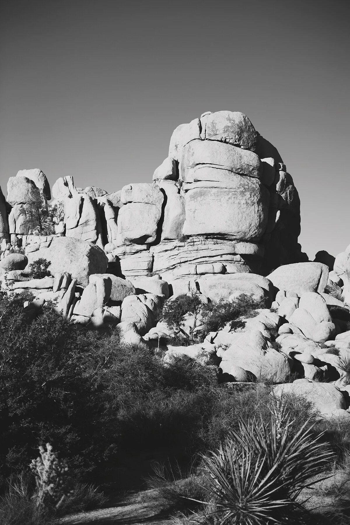 LJP_0410.jpg