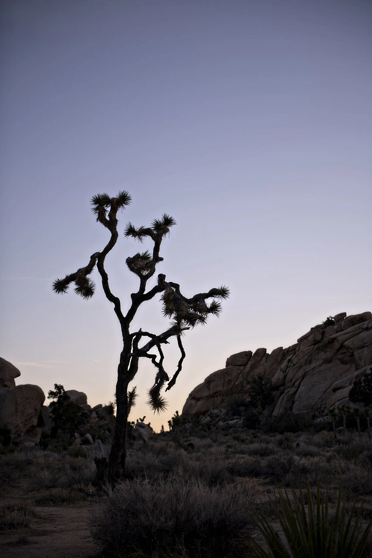LJP_0702.jpg