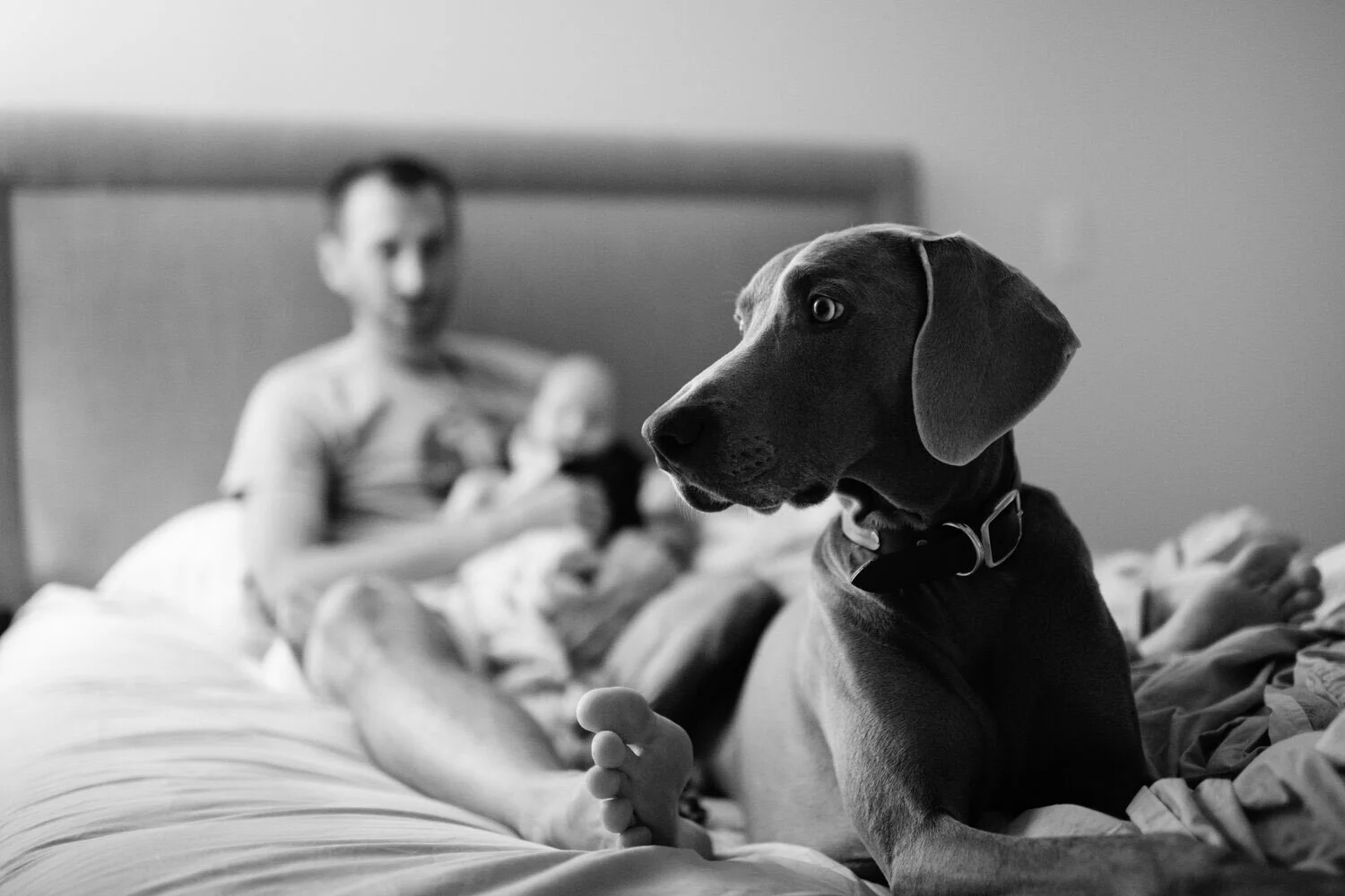 Minneapolis-Documentary-Family-Dog-Photographer-Shuttersmack-2.jpg