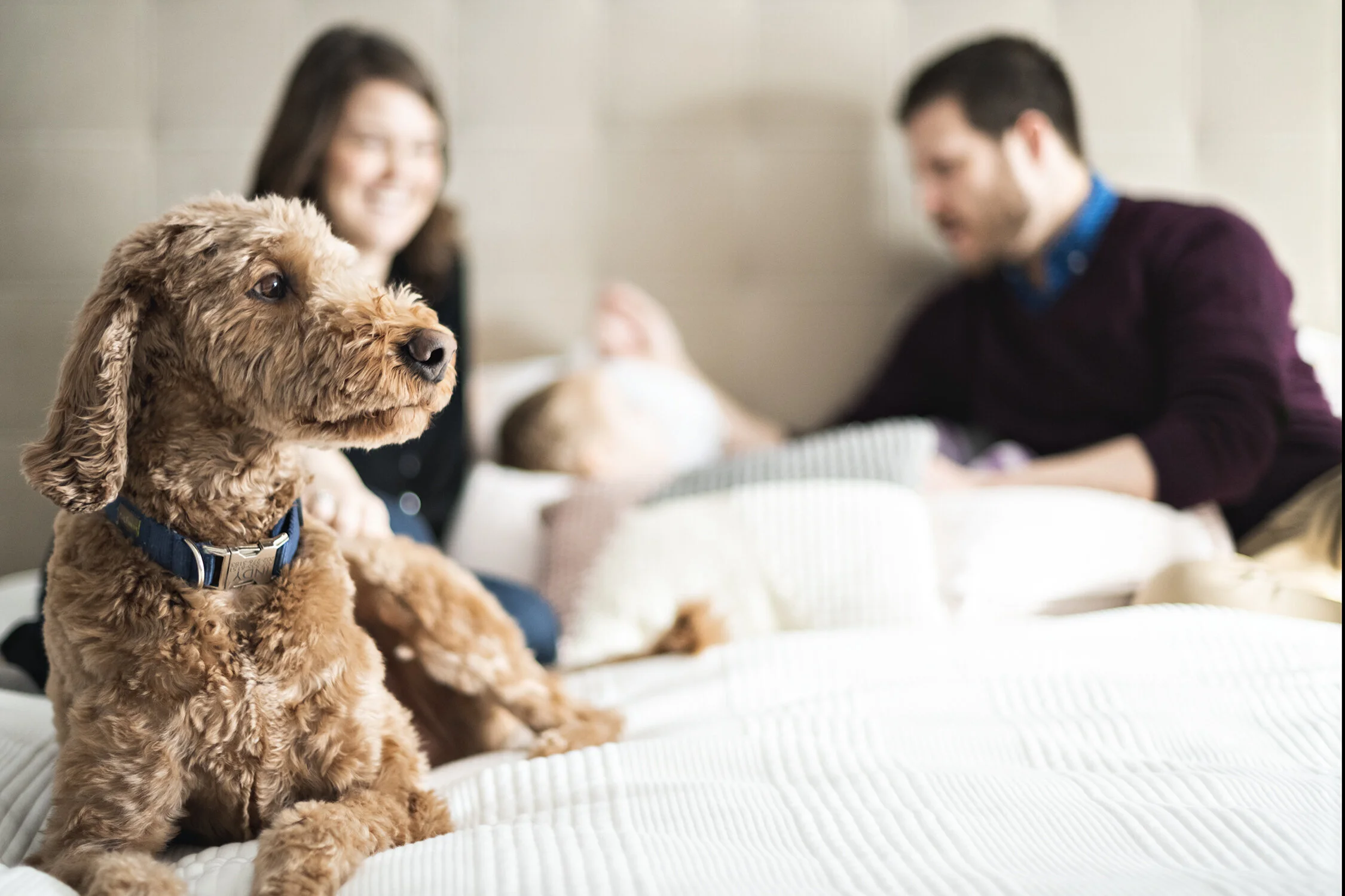 Minneapolis-newborn-photographer-in-home-documentary-02192020-02.jpg