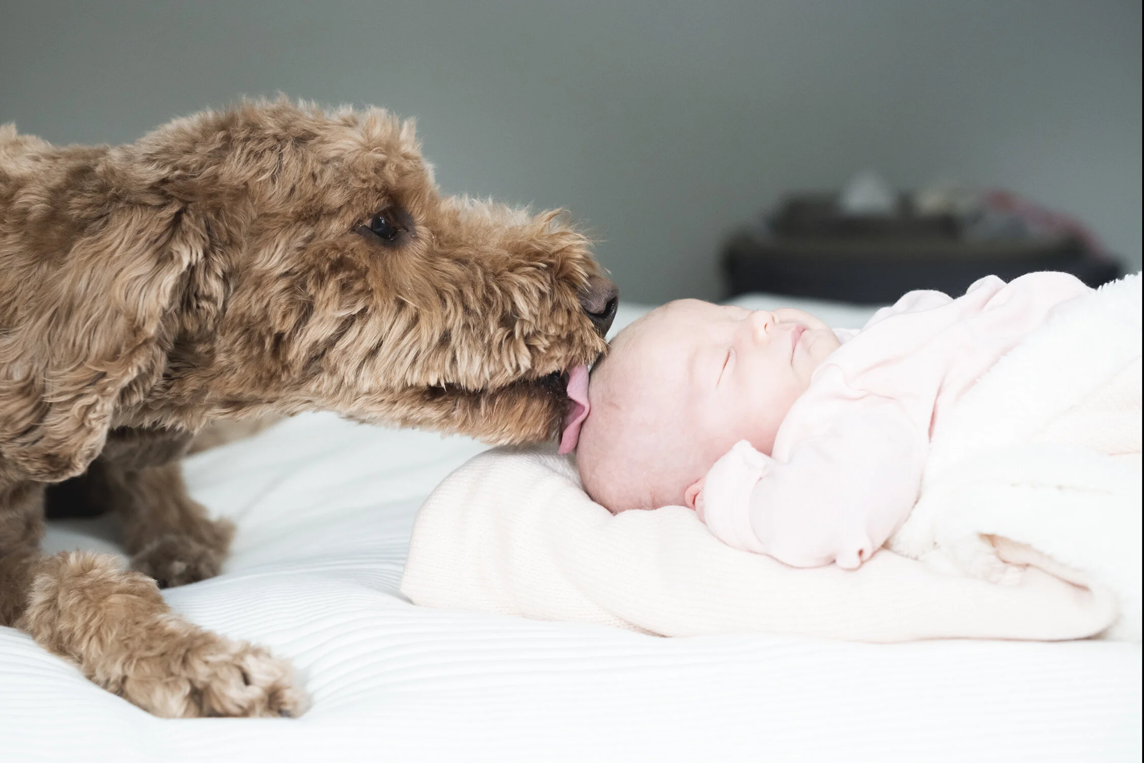 Minneapolis-newborn-photographer-in-home-documentary-02192020-07.jpg