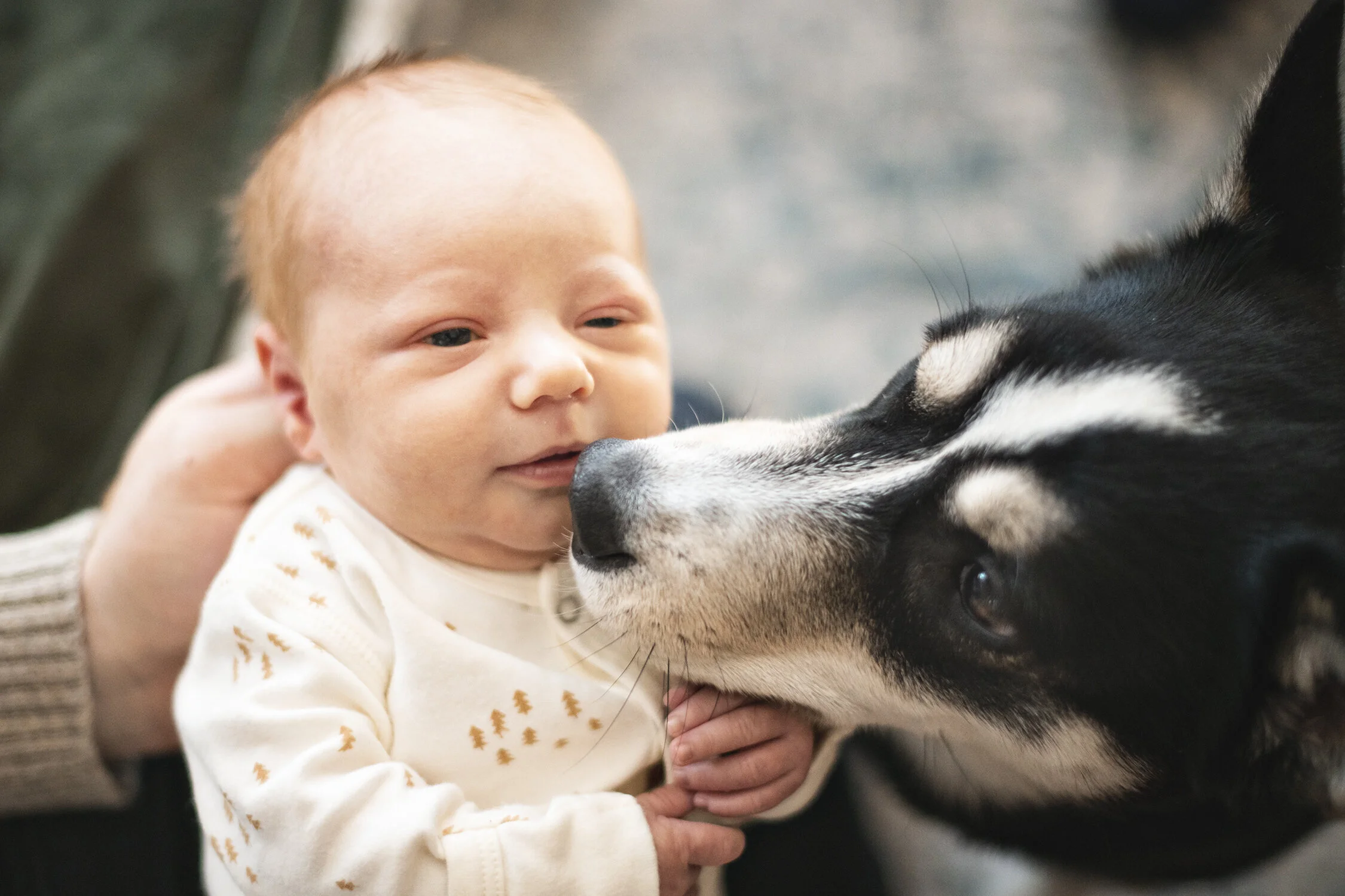 Minneapolis-newborn-photographer-in-home-documentary-02252020-05.jpg