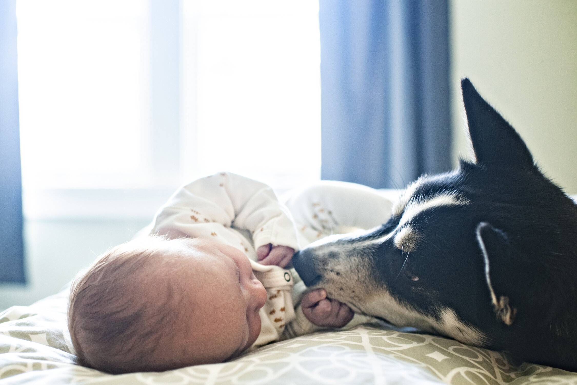 Minneapolis-newborn-photographer-in-home-documentary-02252020-08.jpg